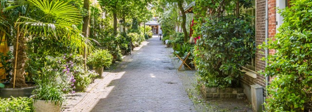 groene-straat-in-haarlem.jpg