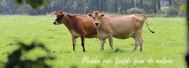 jerseyboerderij-veenklooster.png